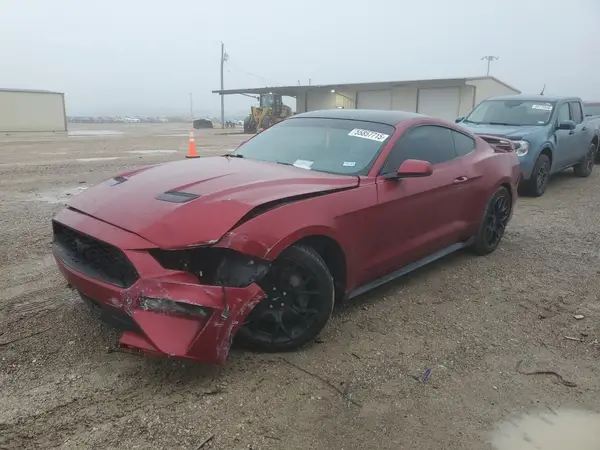 1FA6P8TH3K5182505 2019 FORD MUSTANG - Image 1
