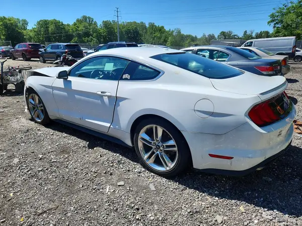 1FA6P8TH3K5185095 2019 FORD MUSTANG - Image 2