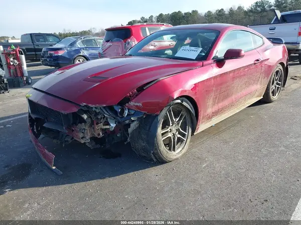 1FA6P8TH3K5185100 2019 FORD MUSTANG - Image 2