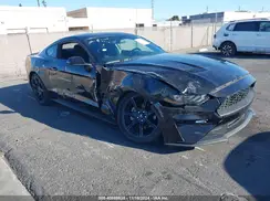 1FA6P8TH3K5185937 2019 FORD MUSTANG