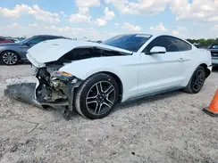 1FA6P8TH3K5186425 2019 FORD MUSTANG