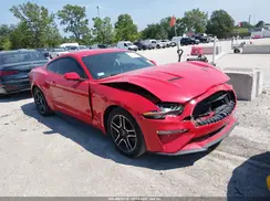 1FA6P8TH3K5186439 2019 FORD MUSTANG