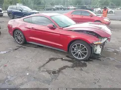1FA6P8TH3K5186604 2019 FORD MUSTANG