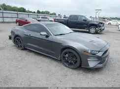 1FA6P8TH3K5188000 2019 FORD MUSTANG