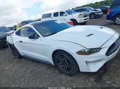 1FA6P8TH3K5188725 2019 FORD MUSTANG