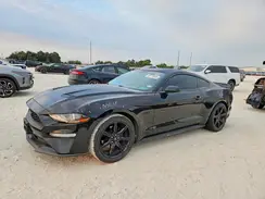 1FA6P8TH3K5192788 2019 FORD MUSTANG