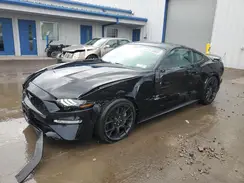 1FA6P8TH3K5198896 2019 FORD MUSTANG
