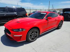 1FA6P8TH3K5202011 2019 FORD MUSTANG