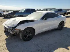 1FA6P8TH3K5203370 2019 FORD MUSTANG