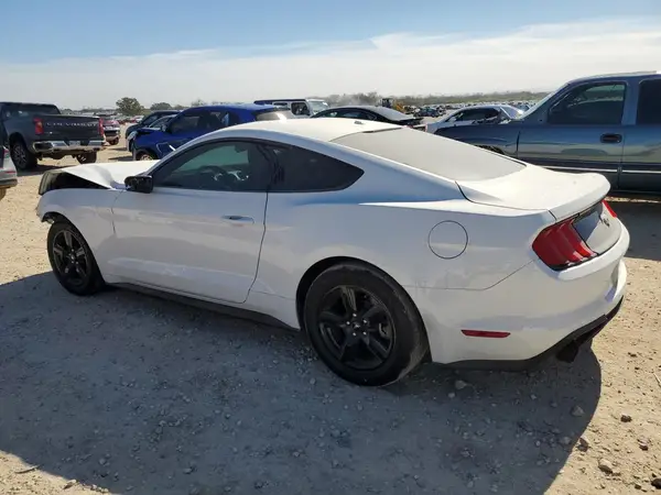 1FA6P8TH3K5203370 2019 FORD MUSTANG - Image 2