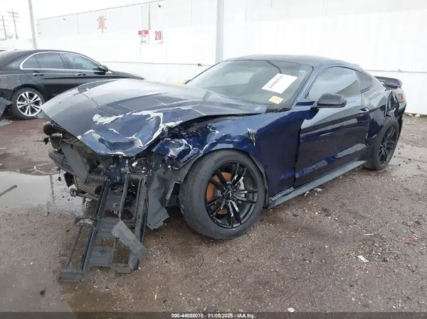 1FA6P8TH3K5203823 2019 FORD MUSTANG - Image 2