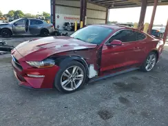 1FA6P8TH3K5203983 2019 FORD MUSTANG