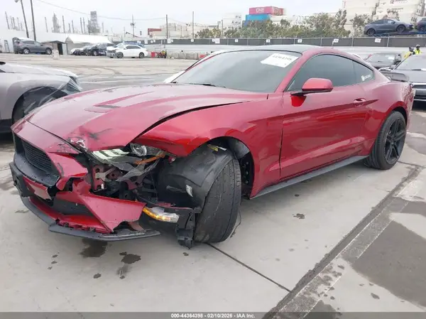 1FA6P8TH3K5204356 2019 FORD MUSTANG - Image 2