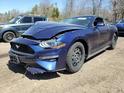 1FA6P8TH3L5100144 2020 FORD MUSTANG