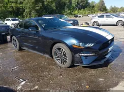 1FA6P8TH3M5111923 2021 FORD MUSTANG
