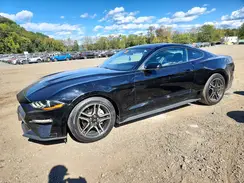 1FA6P8TH3M5157672 2021 FORD MUSTANG