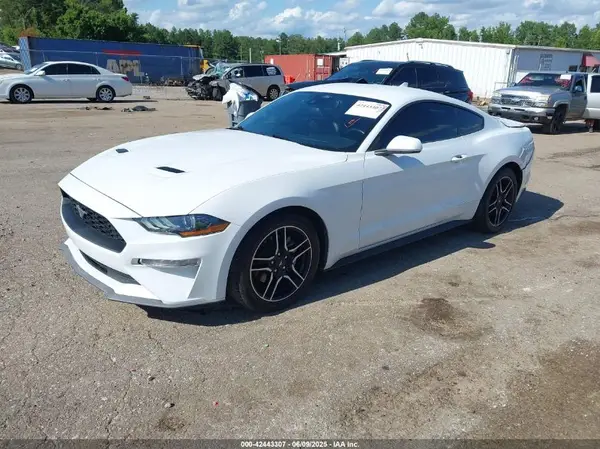1FA6P8TH3P5105186 2023 FORD MUSTANG - Image 2