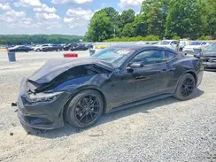 1FA6P8TH3R5103179 2024 FORD MUSTANG