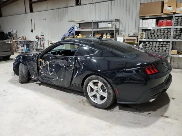 1FA6P8TH3R5105773 2024 FORD MUSTANG - Image 2