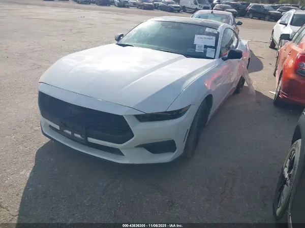 1FA6P8TH3R5106311 2024 FORD MUSTANG - Image 2