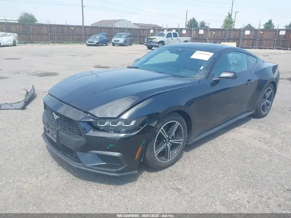 1FA6P8TH3R5106955 2024 FORD MUSTANG - Image 2