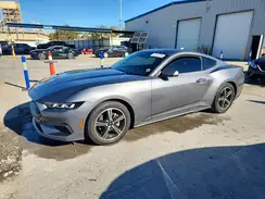 1FA6P8TH3R5107359 2024 FORD MUSTANG