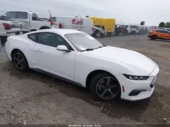 1FA6P8TH3R5107555 2024 FORD MUSTANG