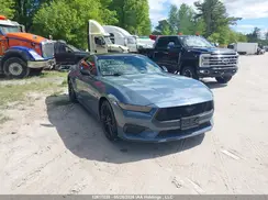 1FA6P8TH3R5108169 2024 FORD MUSTANG