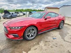 1FA6P8TH3R5108866 2024 FORD MUSTANG