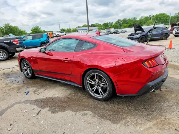 1FA6P8TH3R5108866 2024 FORD MUSTANG - Image 2