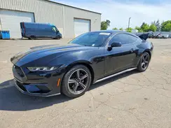 1FA6P8TH3R5108950 2024 FORD MUSTANG