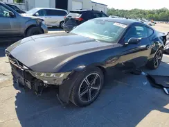 1FA6P8TH3R5109841 2024 FORD MUSTANG