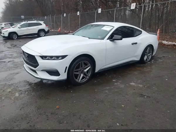 1FA6P8TH3R5110410 2024 FORD MUSTANG - Image 2