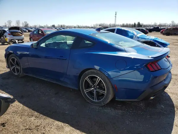 1FA6P8TH3R5112559 2024 FORD MUSTANG - Image 2