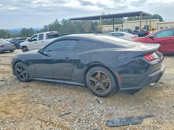 1FA6P8TH3R5114666 2024 FORD MUSTANG - Image 2