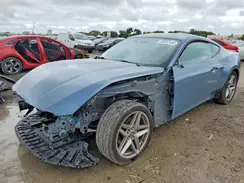 1FA6P8TH3R5120239 2024 FORD MUSTANG