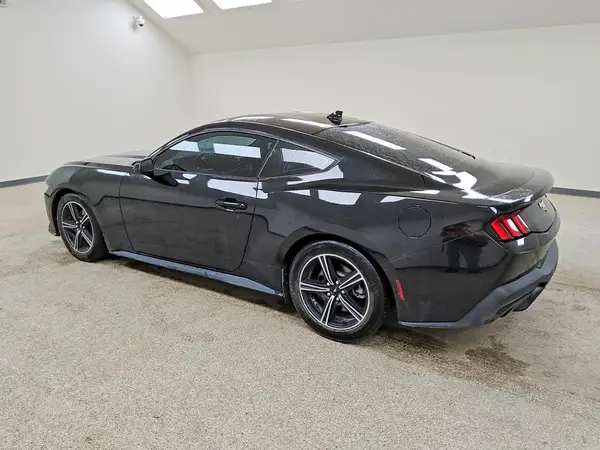 1FA6P8TH3R5122024 2024 FORD MUSTANG - Image 2