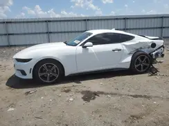1FA6P8TH3R5122914 2024 FORD MUSTANG