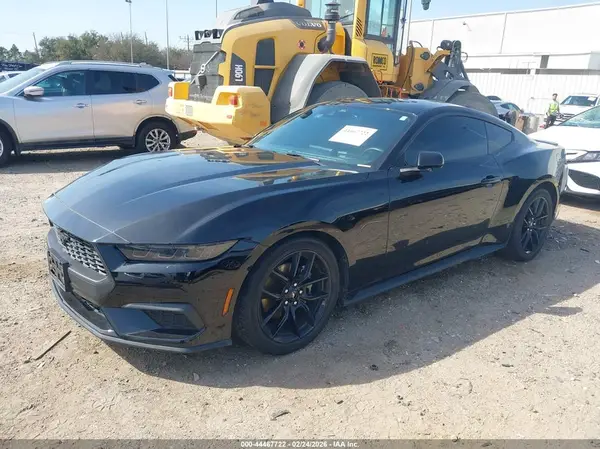 1FA6P8TH3R5123089 2024 FORD MUSTANG - Image 2