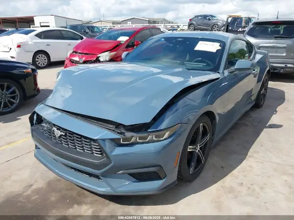 1FA6P8TH3R5129944 2024 FORD MUSTANG - Image 2