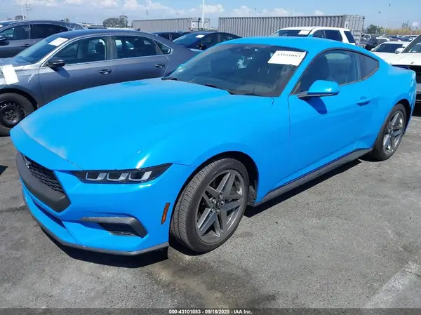 1FA6P8TH3R5130043 2024 FORD MUSTANG - Image 2