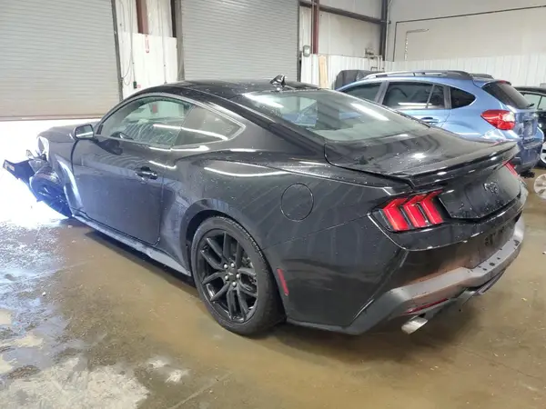 1FA6P8TH3R5134397 2024 FORD MUSTANG - Image 2