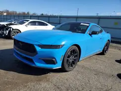 1FA6P8TH3R5135243 2024 FORD MUSTANG
