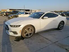 1FA6P8TH3R5143245 2024 FORD MUSTANG