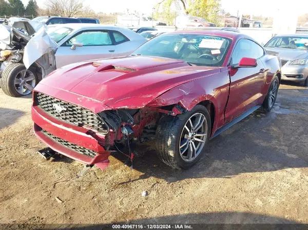 1FA6P8TH4G5256165 2016 FORD MUSTANG - Image 2