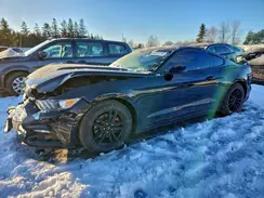 1FA6P8TH4G5300620 2016 FORD MUSTANG