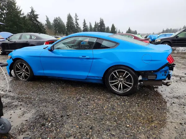 1FA6P8TH4H5220204 2017 FORD MUSTANG - Image 2