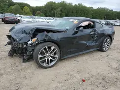 1FA6P8TH4H5263568 2017 FORD MUSTANG