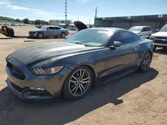 1FA6P8TH4H5313207 2017 FORD MUSTANG