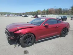 1FA6P8TH4H5328029 2017 FORD MUSTANG